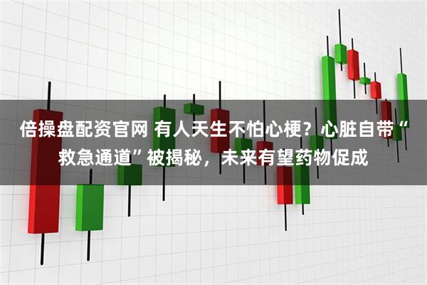 倍操盘配资官网 有人天生不怕心梗？心脏自带“救急通道”被揭秘，未来有望药物促成