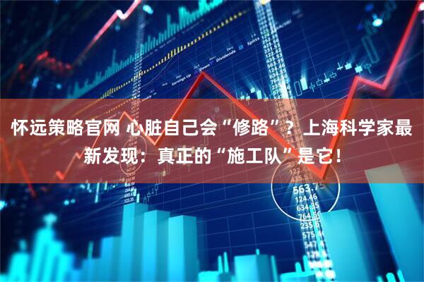 怀远策略官网 心脏自己会“修路”？上海科学家最新发现：真正的“施工队”是它！